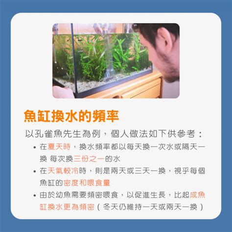 魚缸 換水|魚缸換水指南：每週必學秘訣，打造健康魚缸 